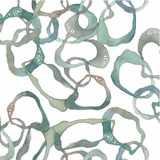 Blend Fabrics Alchemy Shell Rummel 108.101.01.1 Aqua Metre 