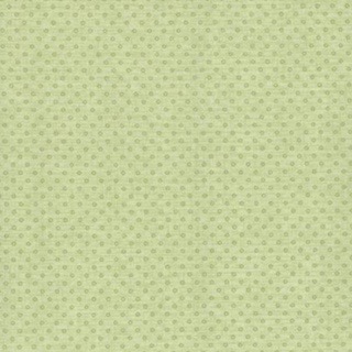 Lecien Floral Collection Rococo & Sweet 30898 60 Green
