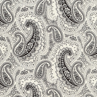 Timeless Treasures Noir Paisley C1906 Black