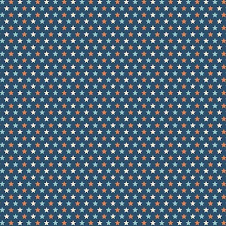 Riley Blake Rocket Age October Design C3805 Navy